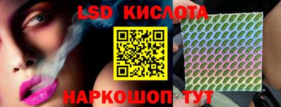 твердый Сланцы