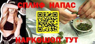 трава Славянск-на-Кубани