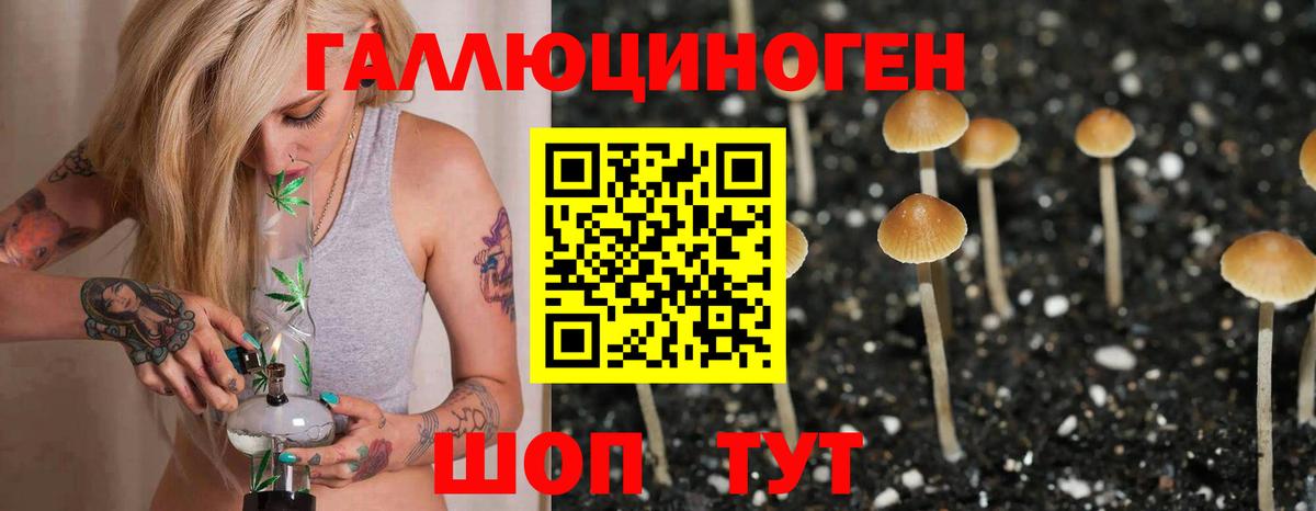 Назрань  Псилоцибиновые грибы ЛСД  Вход с VPN 